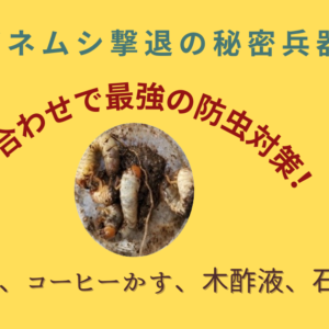 コガネムシの幼虫を撃退